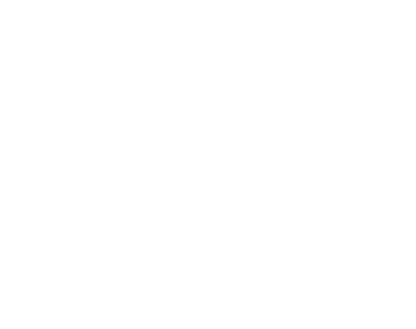 Rockstik